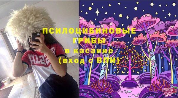 таблы Аркадак