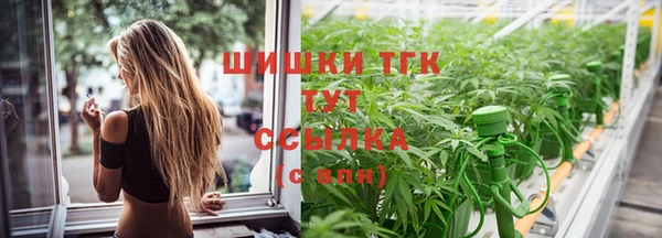 тгк Армянск